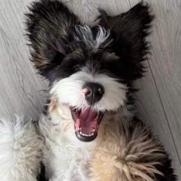 The essence of exceptional living social media post