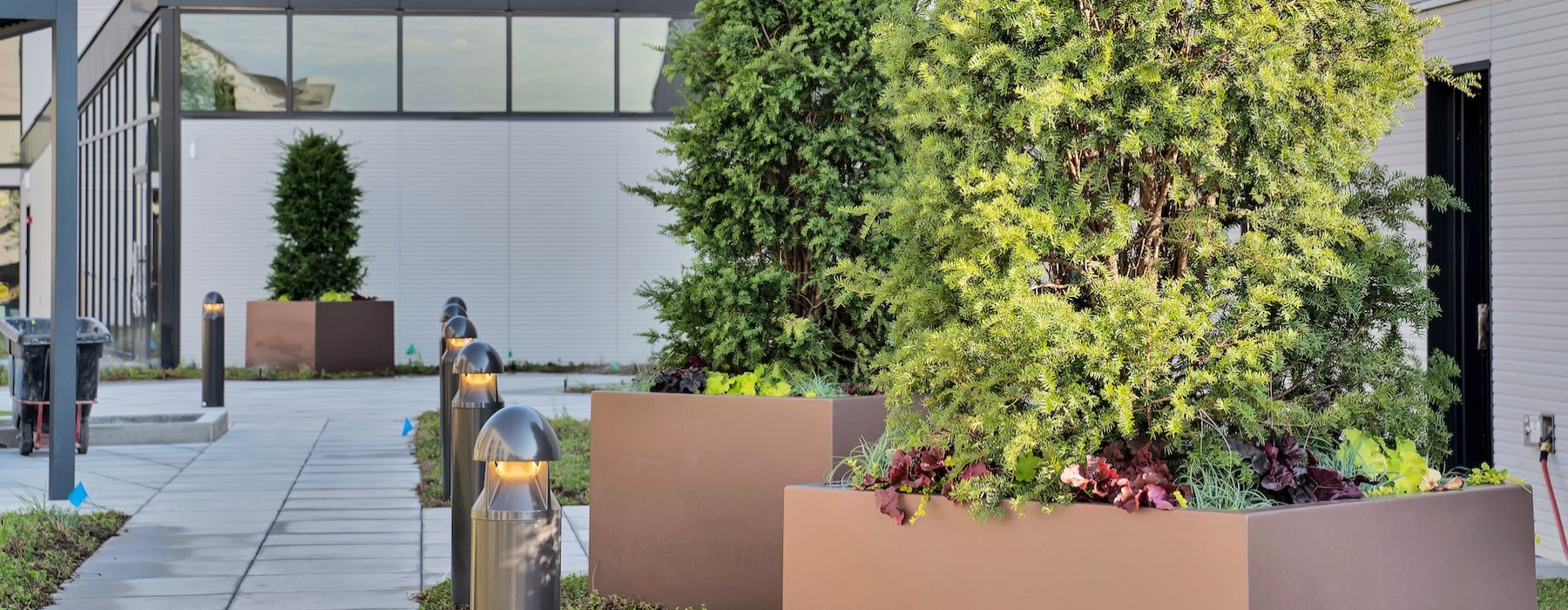 a tree in a pot outside a building