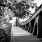 a bridge with trees on the side